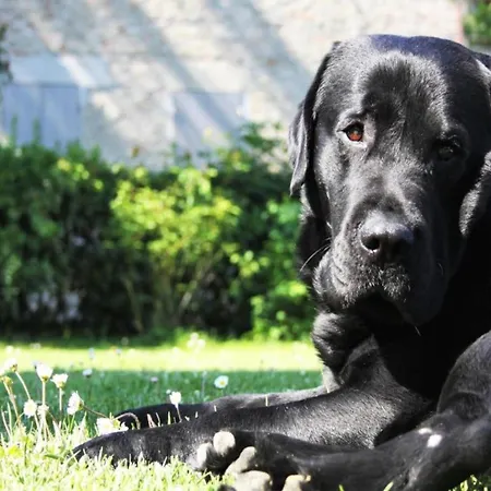 In A With 2 Swimming Pools Casa vacanze