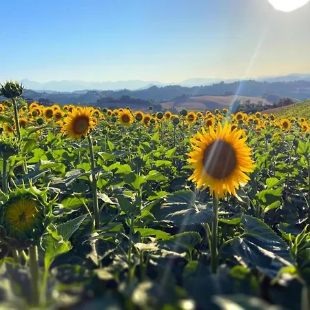 Casa vacanze In A With 2 Swimming Pools *