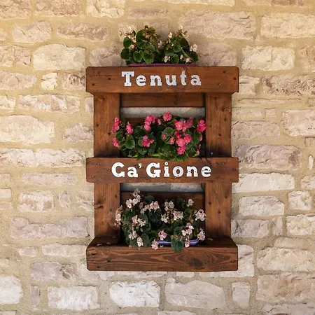 In A With 2 Swimming Pools Casa vacanze Cagli